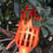 Garden Fruit Picker Tool With Basket Head For Apples Peaches And Orchard Harvesting 1 Or 2 Pack 4