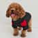 Winter Warm Pet Sweater Hoodie Thickened Dog And Cat Clothes For Small To Medium Pets 4