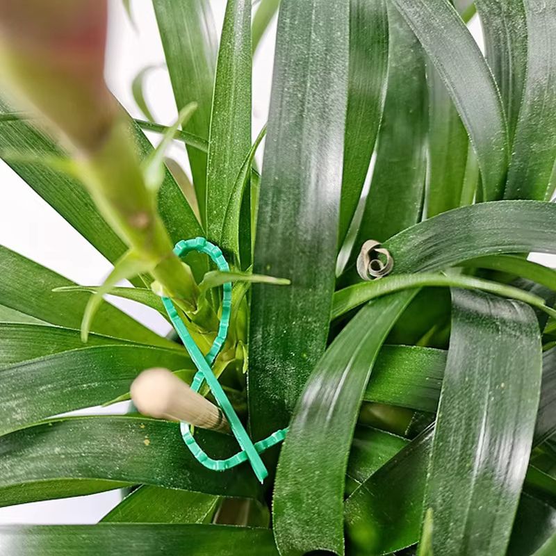 50Pcs Adjustable Plant Cable Ties Reusable Garden Support Ties For Climbing Plants 5