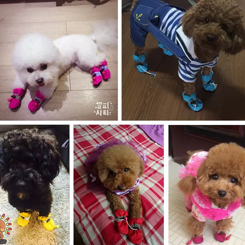 4 Piece Waterproof Anti Slip Dog And Cat Winter Boots Warm Velvet Pet Shoes 5