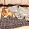 Flannel Thickened Soft Pet Bed Mat Warm Sleeping Blanket For Dogs And Cats 3
