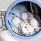Reusable Silicone Laundry Balls AntiTangle Washer And Dryer Cleaning Balls 1