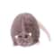 Cute Oversized Mouse Plush Doll With Flower Branch Soft Long Hug Pillow 1181in 1772in 3543in 8