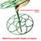 Plastic Garden Stackable Bonsai Climbing Frame Plant Support Stand 4