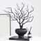 Halloween Black Artificial Dead Branch Antlers 5Pack Realistic Plastic Tree Branches 5