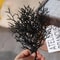 Halloween Black Artificial Dead Branch Antlers 5Pack Realistic Plastic Tree Branches 6