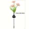 Solar Flower Garden Lights Outdoor Decorative Lighting With Glowing Stems 5