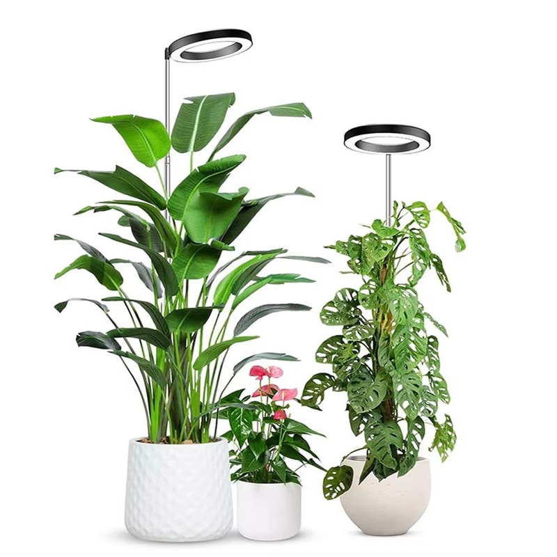 165cm 65in Adjustable Full Spectrum LED Ring Grow Light For Indoor Plants USB Powered Plant Light 5