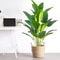 Large Artificial Tropical Palm And Banana Leaf Decor Plant For Home And Garden 3