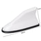 Universal Carbon Fiber Look Shark Fin Car Antenna With AMFM Signal Booster 9