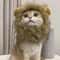 Cute Funny Pet Costume Lion Mane Wig Hat With Ears For Cats And Small Dogs 1