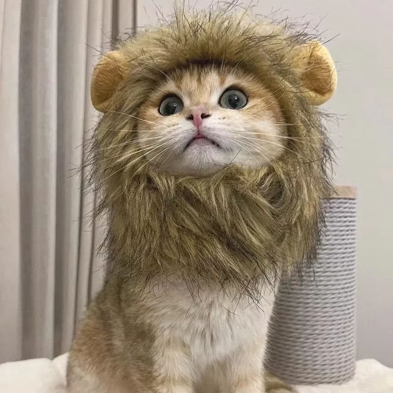 Cute Funny Pet Costume Lion Mane Wig Hat With Ears For Cats And Small Dogs 1