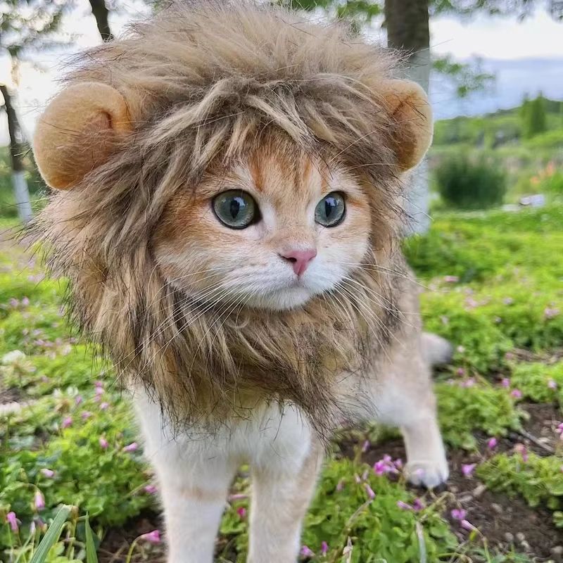 Cute Funny Pet Costume Lion Mane Wig Hat With Ears For Cats And Small Dogs 2