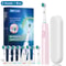 Rechargeable Rotary Electric Toothbrush For Adults With 8 Soft Brush Heads 11
