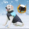 Winter Outdoor Dog Hoodie Sport Coat For Large Breeds 3