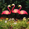 Solar Flamingo LED Outdoor Garden Light Waterproof Stake Lantern 2