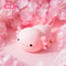 Axolotl Silicone Rechargeable Night Light Touch Table Lamp For Kids 6