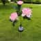 Solar Peony Flower Garden Lights 3 Head Waterproof Pink Pathway Stake Lamps 6