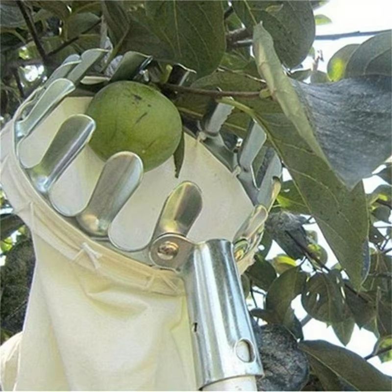 HighAltitude Fruit Picker Tool For Apples Pears Peaches 125 Pcs 2