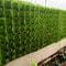 Wall Hanging Planter Bags Vertical Garden Grow Bags For Plants 2