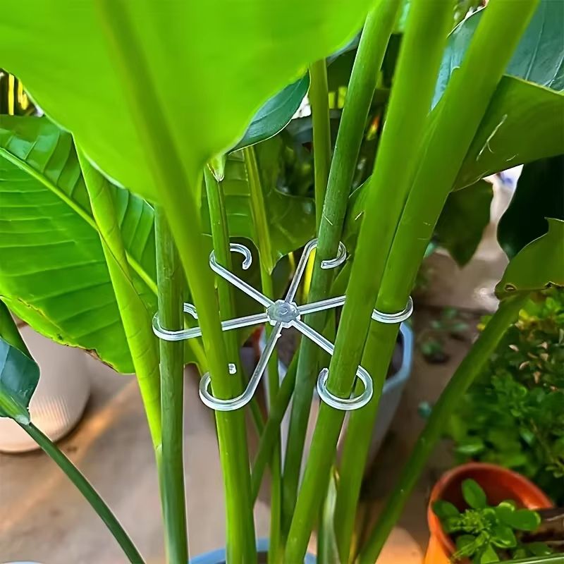 Reusable Plant Stem Support Stakes Plastic Plant Trellis Hoops For Climbing Houseplants 1