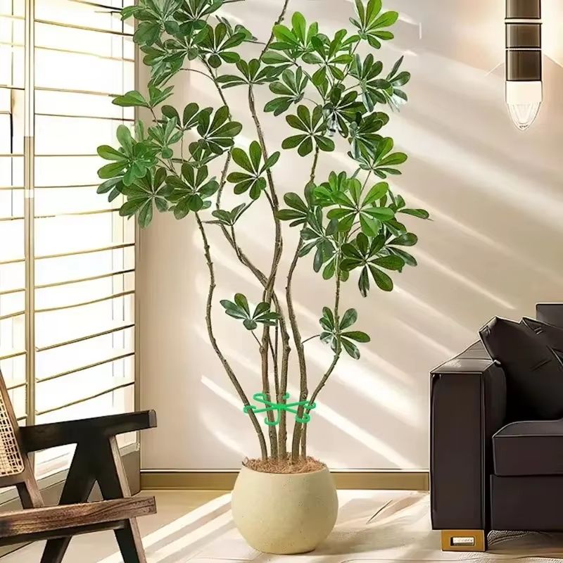 Reusable Plant Stem Support Stakes Plastic Plant Trellis Hoops For Climbing Houseplants 5