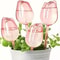 Pink Tulip Automatic Plant Watering Balls For Indoor And Outdoor Plants 1