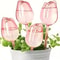 Pink Tulip Automatic Plant Watering Balls For Indoor And Outdoor Plants 8