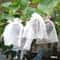Fruit Protection Bags 50 Pack Reusable Garden Netting Bags For Birds And Insects 4