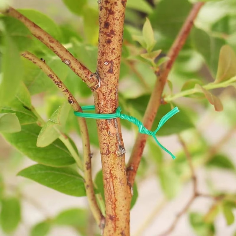 Garden Cable Ties And Horticultural Strapping Line With Reel For Plants And Trees 1