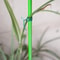 Garden Cable Ties And Horticultural Strapping Line With Reel For Plants And Trees 2