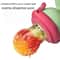 Dinosaur Rotate PushType Silicone Baby Fruit Feeder Fresh Food Teething Tool 5