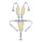 SafeRide 5Point Baby Harness For Strollers And Highchairs 7