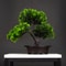 1063in Artificial Pine Bonsai Tree Desktop Decoration Faux Plant Ornament 2