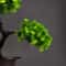 1063in Artificial Pine Bonsai Tree Desktop Decoration Faux Plant Ornament 3