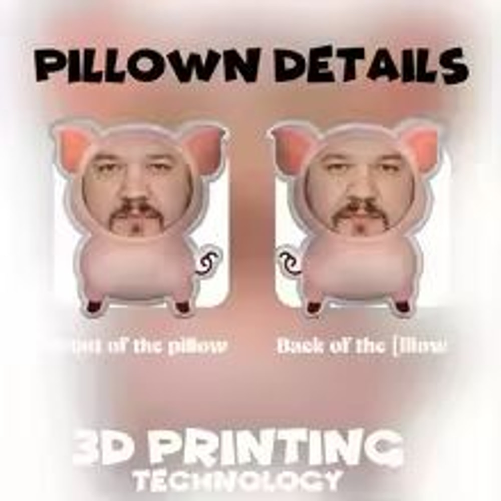 Personalized Pink Pig DoubleSided Printed Cushion Fun Face Pillow And Seat Cushion Gift 4