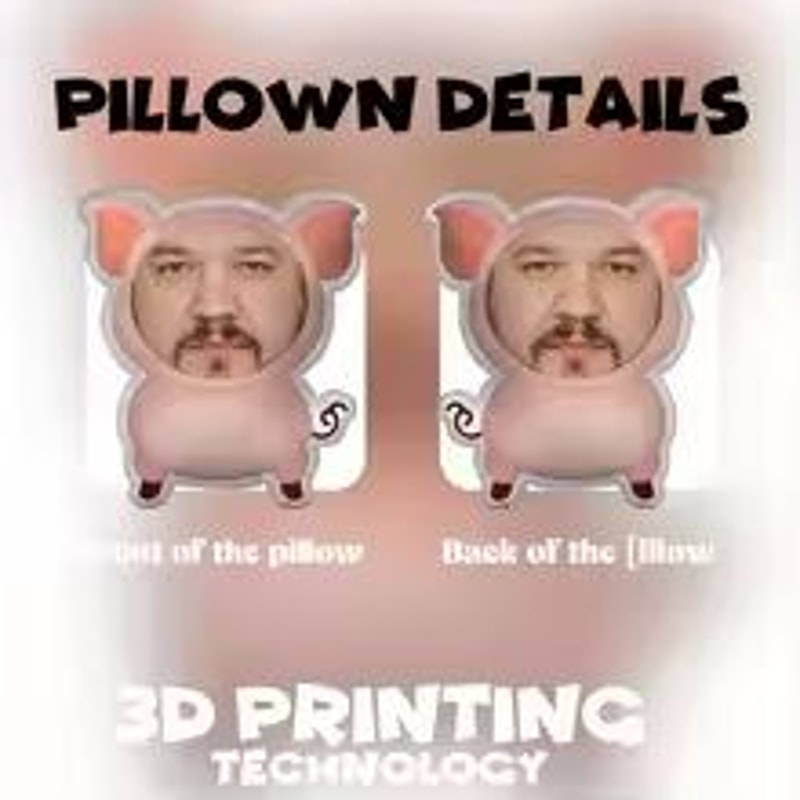 Personalized Pink Pig DoubleSided Printed Cushion Fun Face Pillow And Seat Cushion Gift 4