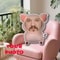 Personalized Pink Pig DoubleSided Printed Cushion Fun Face Pillow And Seat Cushion Gift 5