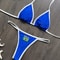 Brazil Flag Embroidery Contrast Bikini Set Women Swimwear 6