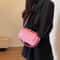 Simple Fashion Mini Square Crossbody Bag For Women 3
