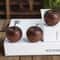 AppleAroma Natural Wood Aromatherapy Diffuser Set For Home Car 5