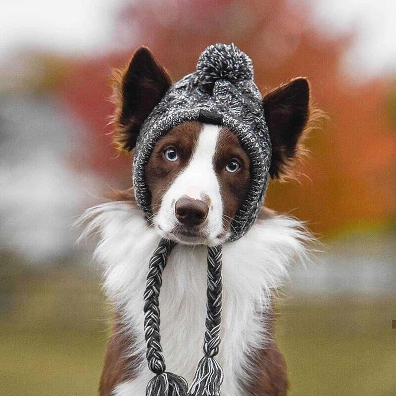 CozyPaws Windproof Knitted Winter Dog Hat With Fluffy Pom Pom 2