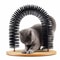 FelineFun SelfGrooming Cat Arch With Massage Brush And Scratching Pad 4