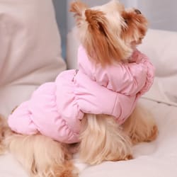 cozyshield 3 layer dog jacket for small and medium dogs