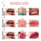 EverLast 4Color Highly Pigmented Matte Lip Liner PeelOff Lip Stain Waterproof TransferProof 2