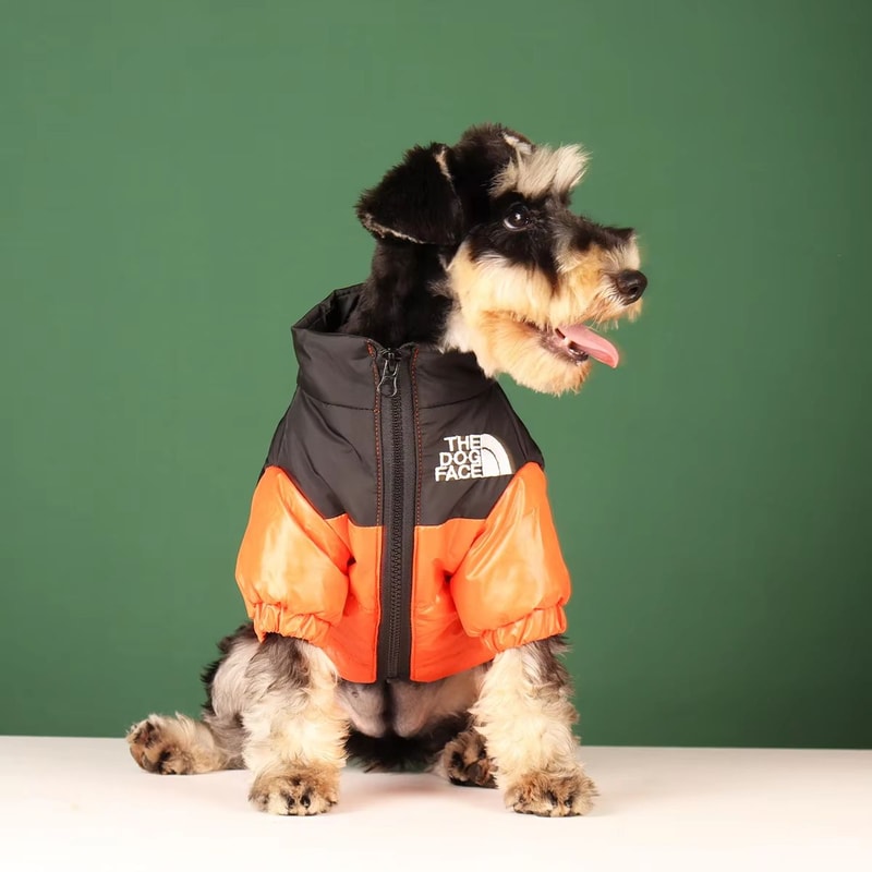 FrostGuard Windproof Dog Jacket For Small To Medium Breeds 5