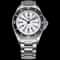 Yelang V1031 300M Automatic Dive Watch For Men 1