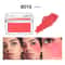 Soft Matte Blush Powder Waterproof Natural Cheek Tint Blush Long Lasting Face Brightening Rouge 6
