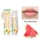 SunShield SPF 30 Lip Balm Hydrating Sunscreen Lip Balm With UVA Protection Lip Care Watermelon Coc 8