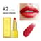 GoldenGlam Metallic Gold Lipstick Waterproof Shimmer Gold Lipstick With Long Lasting Glitter Finis 13